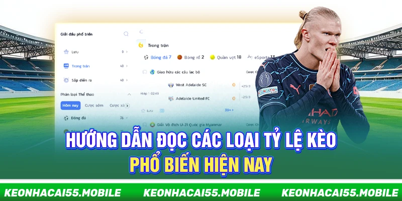 Kèo Nhà Cái Mobile ⭐️ Soi Tỷ Lệ Kèo, Keonhacai Trực Tiếp Tối Nay 23 Hướng dẫn đọc các loại tỷ lệ kèo phổ biến hiện nay