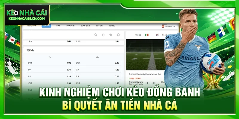 Kinh Nghiệm Chơi Kèo Đồng Banh – Bí Quyết Ăn Tiền Nhà Cái 9 Kinh Nghiệm Chơi Kèo Đồng Banh – Bí Quyết Ăn Tiền Nhà Cái