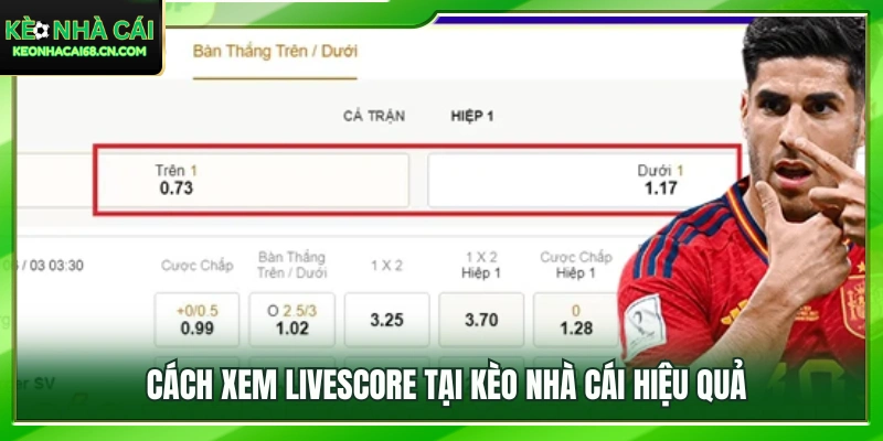 Hướng dẫn theo dõi Livescore nhanh chóng và chính xác 