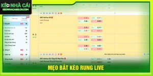 mẹo bắt kèo rung live