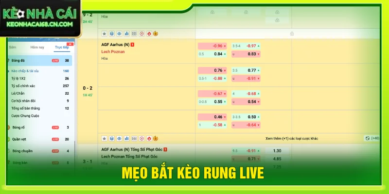 Mẹo Bắt Kèo Rung Live Hiệu Quả Với 3+ Tips Đọc Trận Hay 2 mẹo bắt kèo rung live
